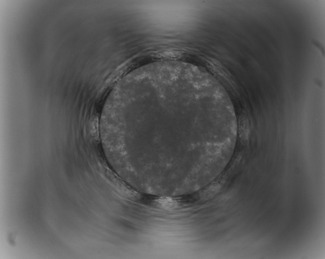 X0000099470425200806061224