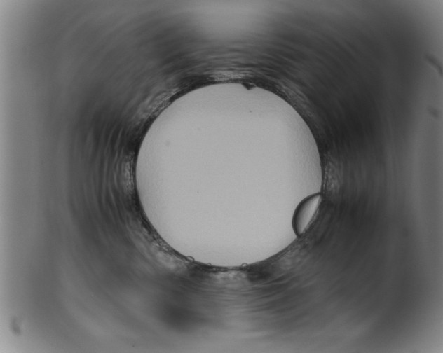 X0000099470426200806061224