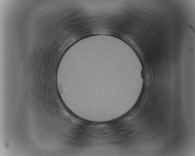 X0000099470433200806061224