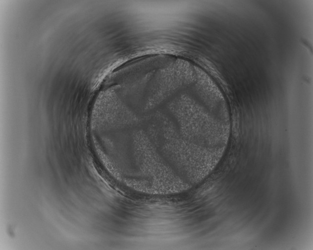 X0000099470434200806061224