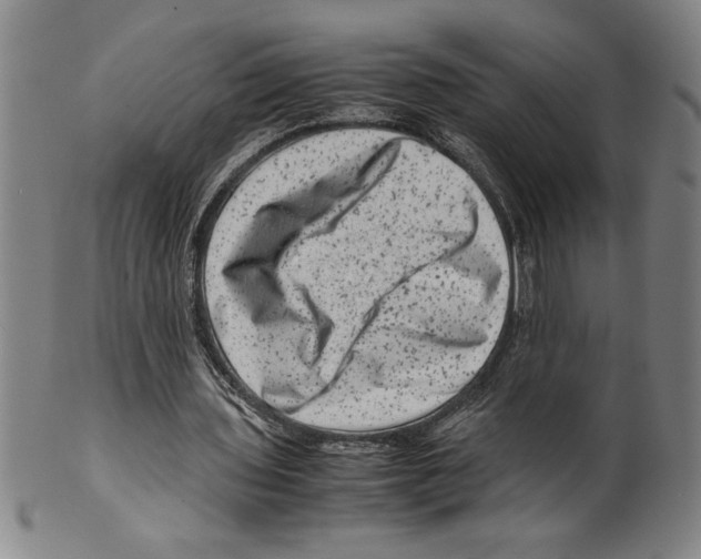 X0000099470435200806061224