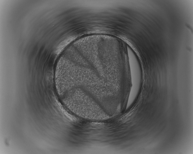 X0000099470437200806061224