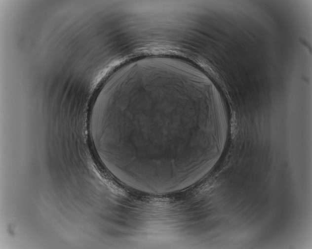 X0000099470438200806061224