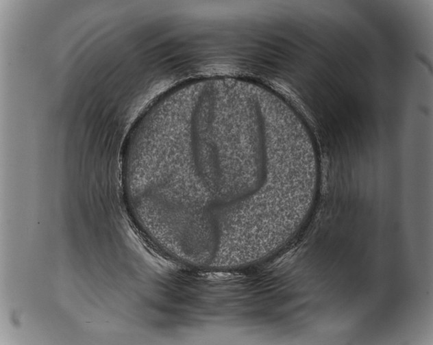 X0000099470439200806061224