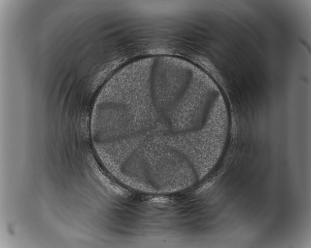 X0000099470441200806061224