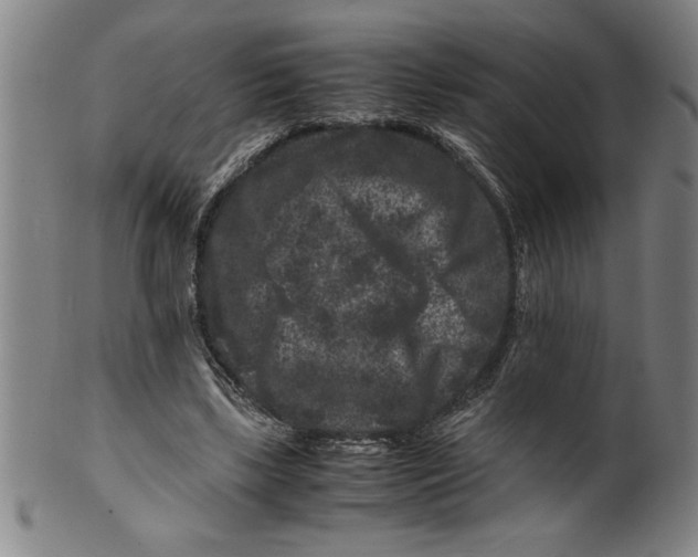 X0000099470443200806061224