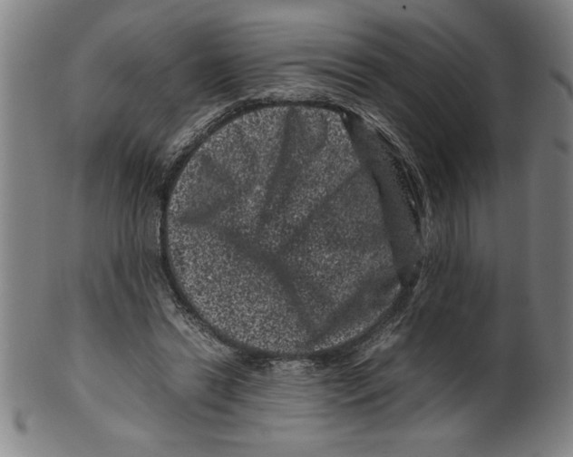 X0000099470446200806061224