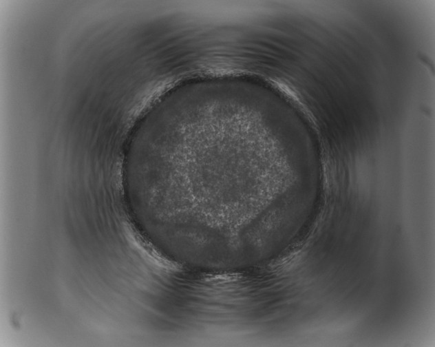 X0000099470447200806061224