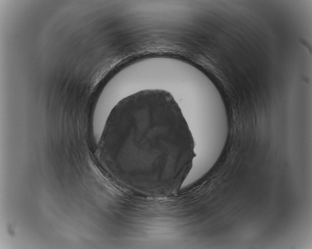 X0000099470448200806061224