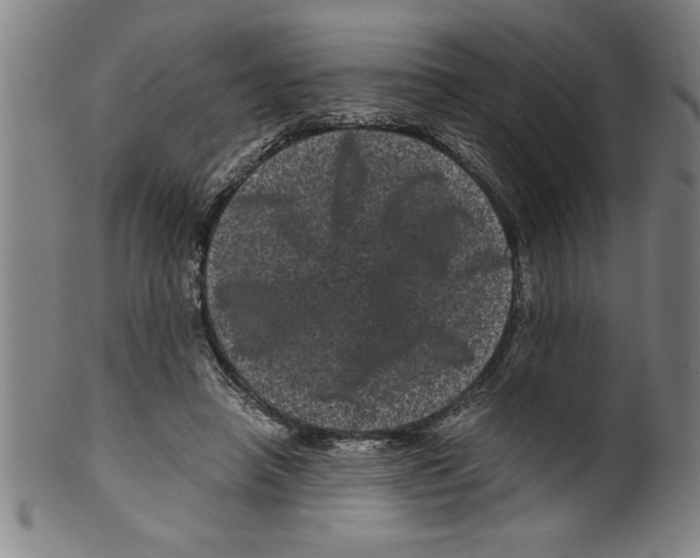 X0000099470450200806061224