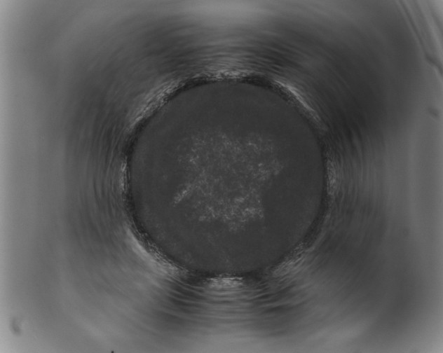 X0000099470451200806061224