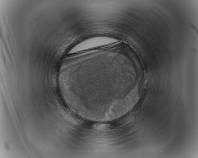 X0000099470452200806061224