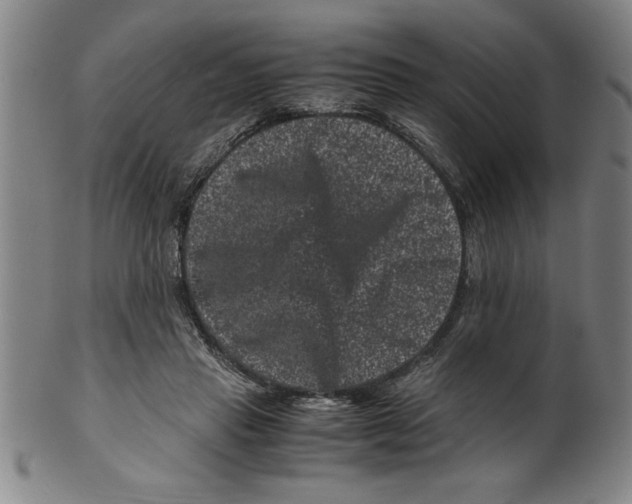 X0000099470453200806061224