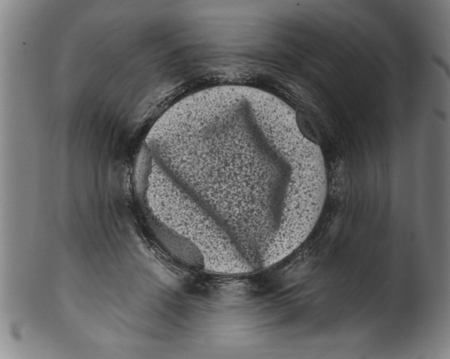 X0000099470456200806061224