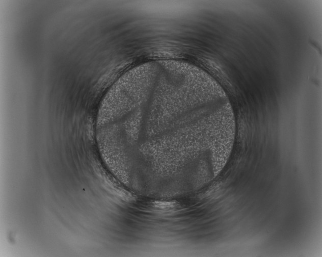 X0000099470457200806061224