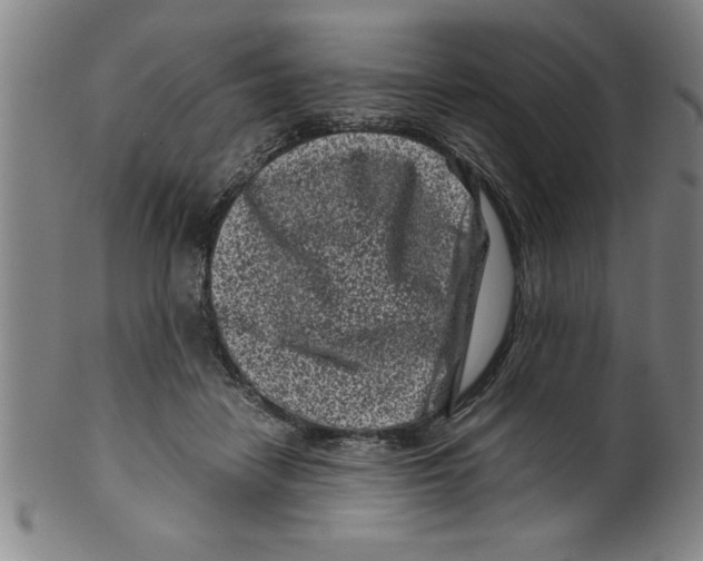 X0000099470458200806061224