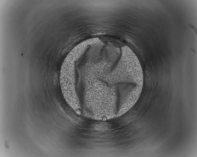 X0000099470459200806061224