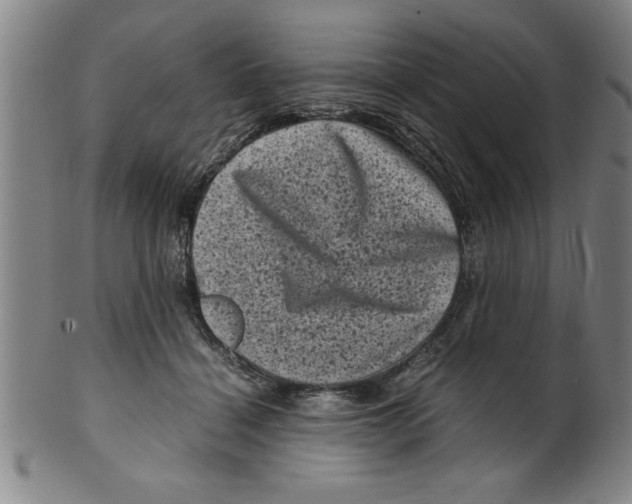 X0000099470460200806061224