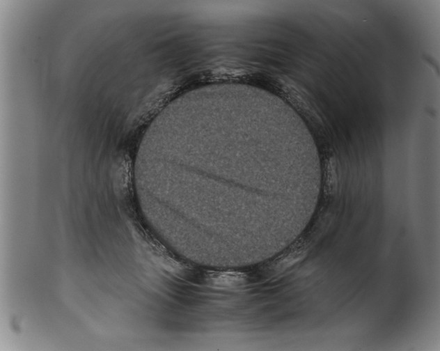 X0000099470463200806061224