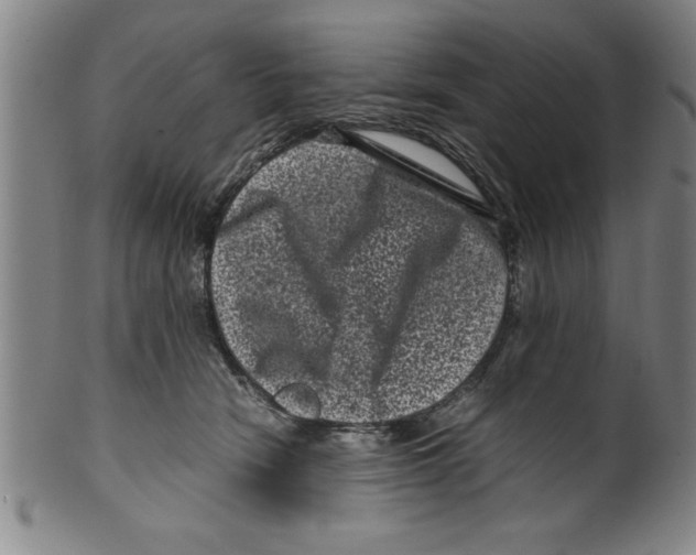 X0000099470466200806061224