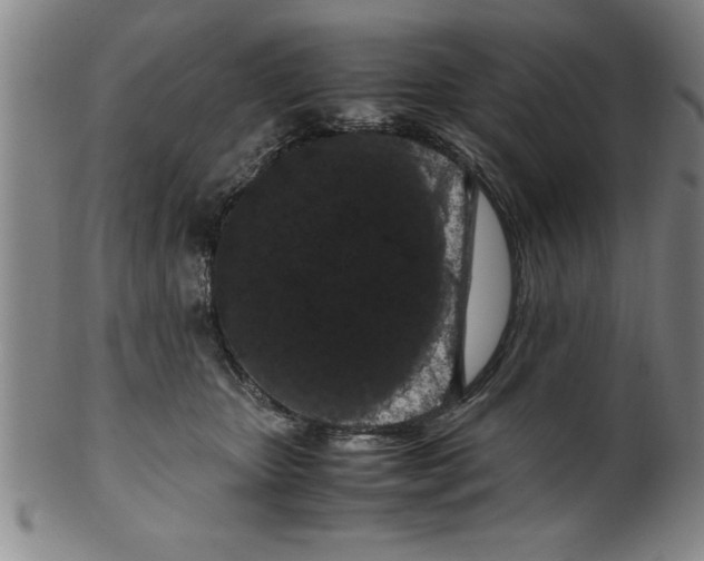 X0000099470467200806061224