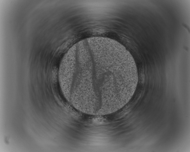 X0000099470468200806061224