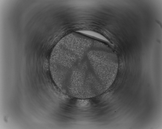 X0000099470469200806061224