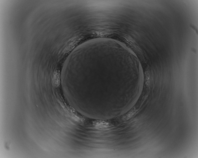 X0000099470471200806061224