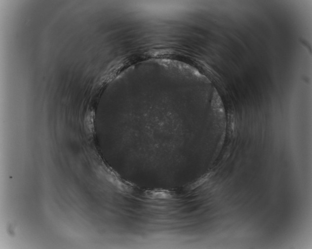 X0000099470475200806061224