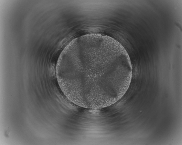 X0000099470478200806061224