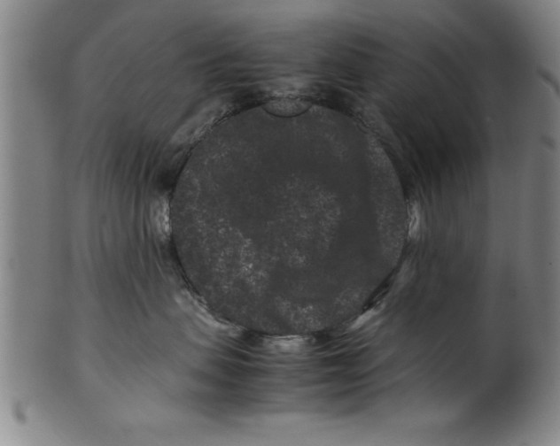 X0000099470479200806061224