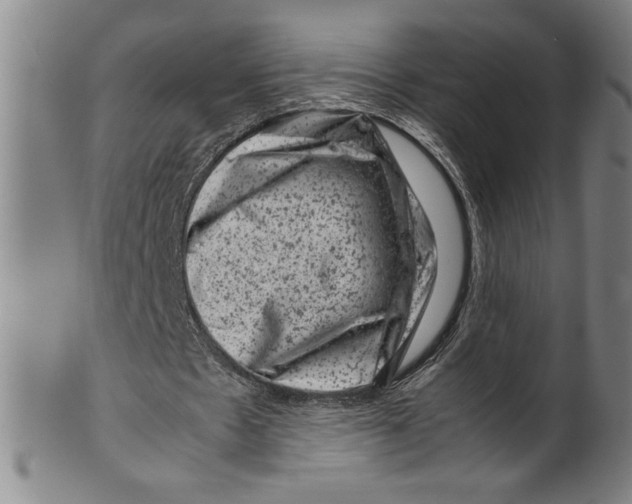 X0000099470481200806061224