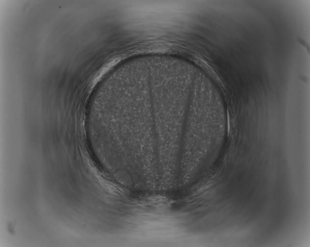 X0000099470483200806061224