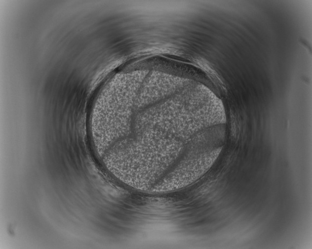 X0000099470486200806061223