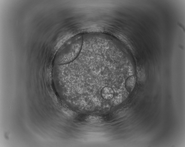 X0000099470487200806061223