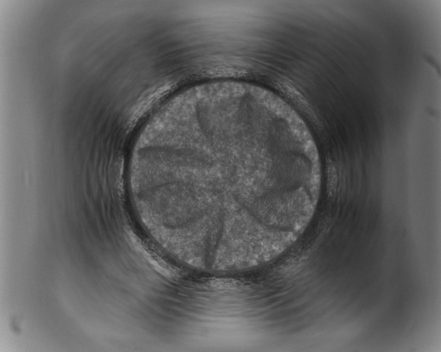 X0000099470490200806061223