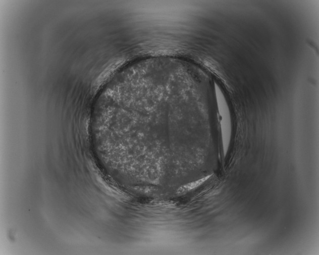 X0000099470491200806061223