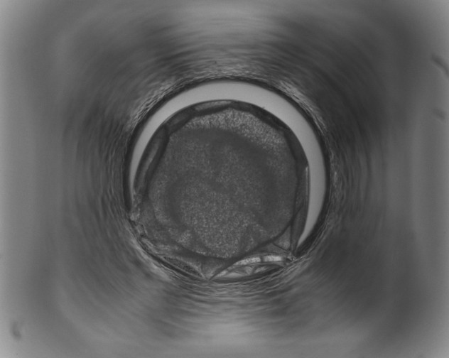 X0000099470493200806061223