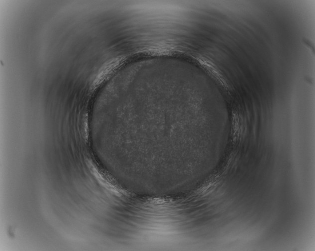 X0000099470494200806061223