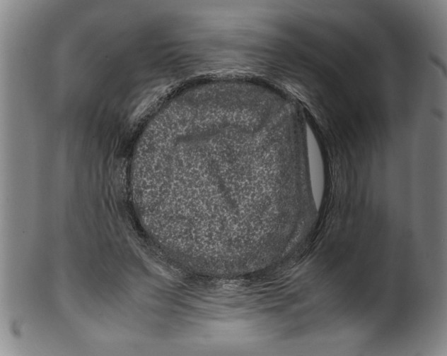 X0000099470495200806061223