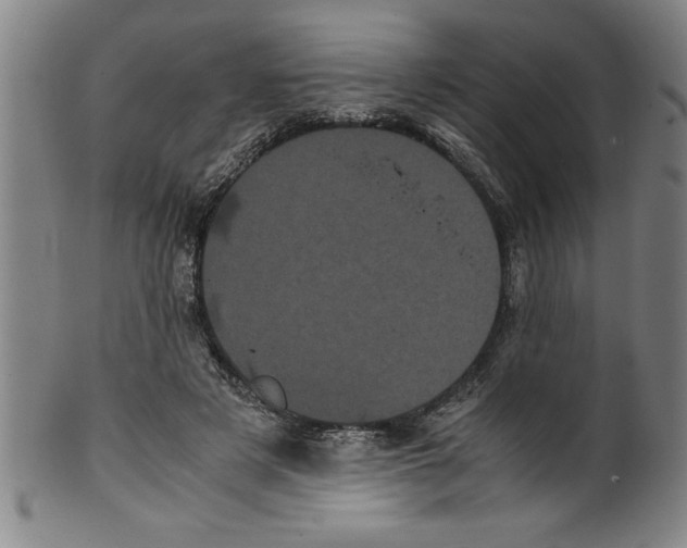 X0000099470497200806061223