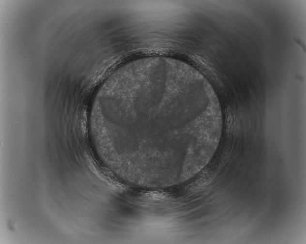 X0000099470498200806061223