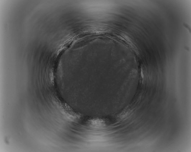 X0000099470500200806061223