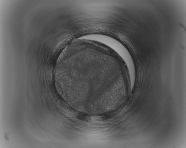 X0000099470501200806061223