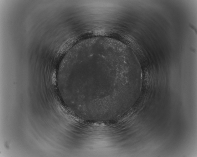 X0000099470502200806061223