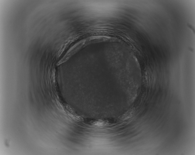 X0000099470504200806061223