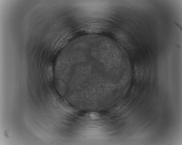 X0000099470506200806061223