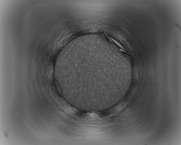 X0000099470509200806061223