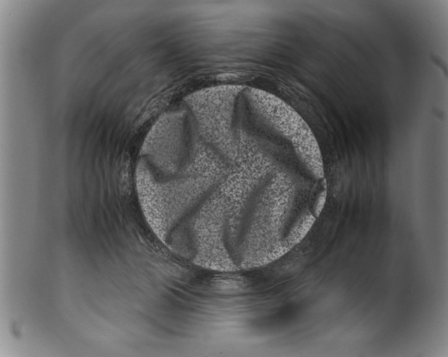 X0000099470510200806061223