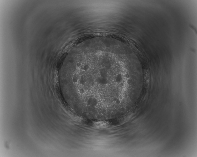 X0000099470511200806061223